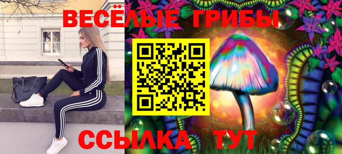 Углич  Галлюциногенные грибы Psilocybe  закладка  Вход с VPN 